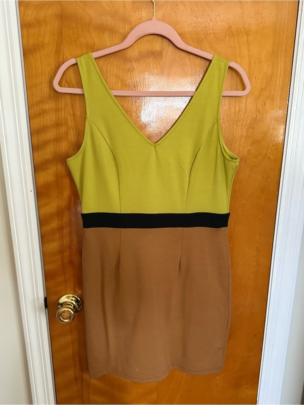 Forever 21 Green and Brown Sleeveless V-Neck Mini Dress